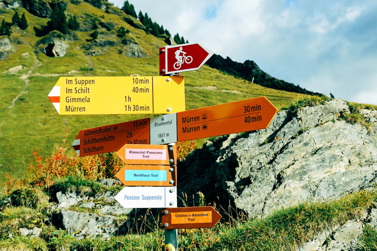 Should I Automate My Business? A Practical Guide for Irish SMEs